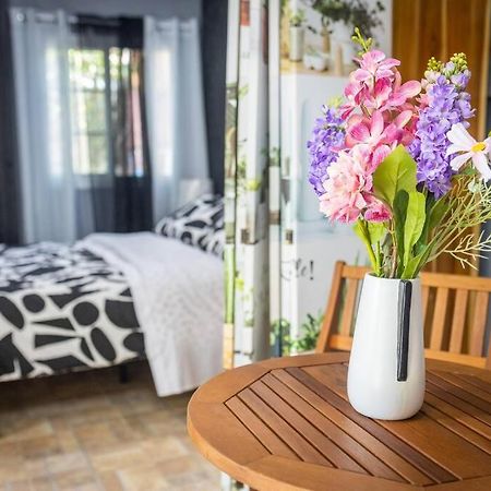 Dos Morenas Apartments - Apt 3 Bajo Boquete Kültér fotó