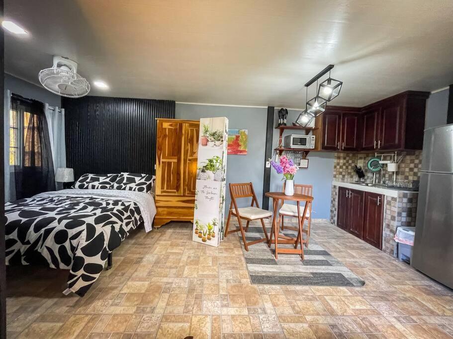Dos Morenas Apartments - Apt 3 Bajo Boquete Kültér fotó