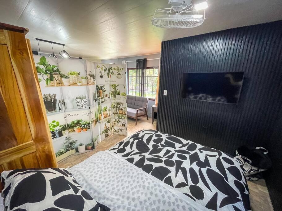 Dos Morenas Apartments - Apt 3 Bajo Boquete Kültér fotó