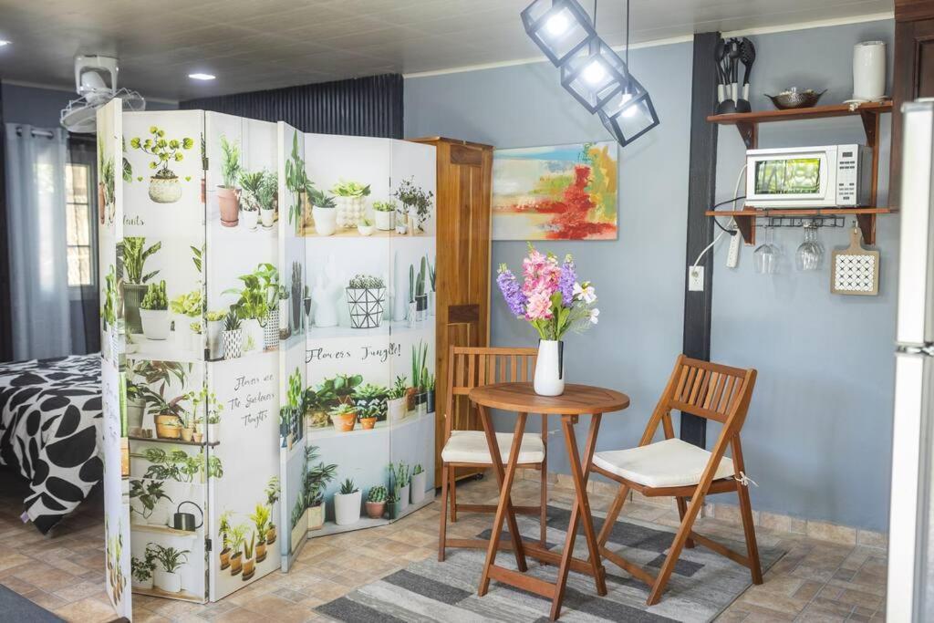 Dos Morenas Apartments - Apt 3 Bajo Boquete Kültér fotó